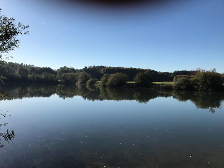 Photo 43 of Elzenseloop 15