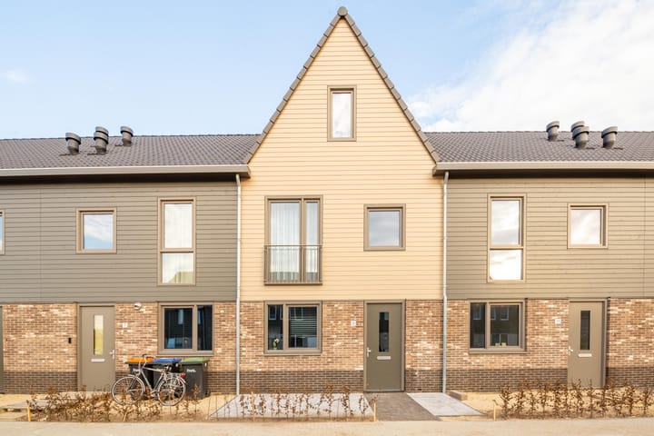 Herfstorchidee 9 main image