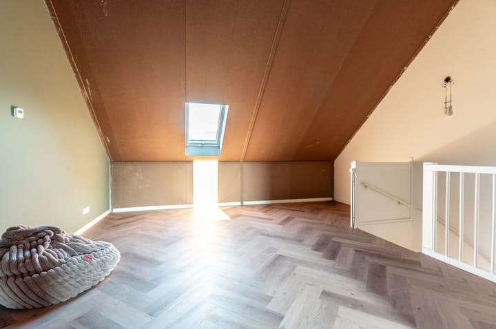 Photo 25 of Herfstorchidee 9