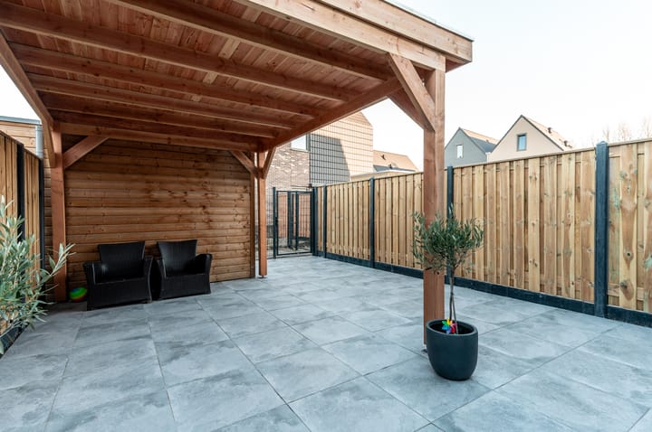 Photo 27 of Herfstorchidee 9