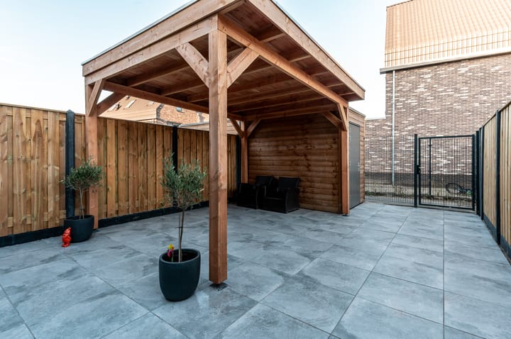 Photo 28 of Herfstorchidee 9