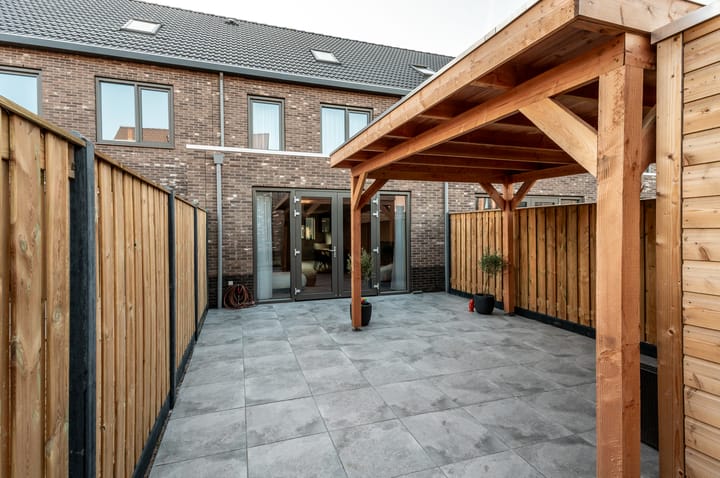 Photo 29 of Herfstorchidee 9