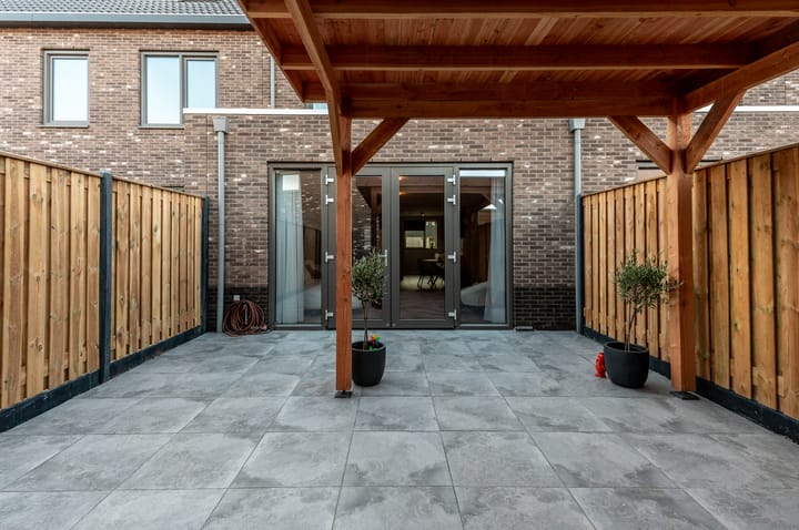 Photo 30 of Herfstorchidee 9