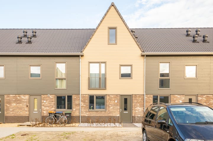 Photo 33 of Herfstorchidee 9