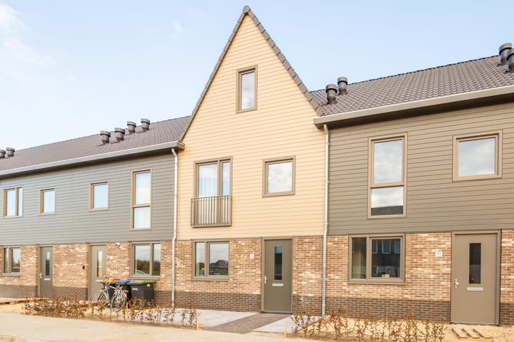 Photo 34 of Herfstorchidee 9