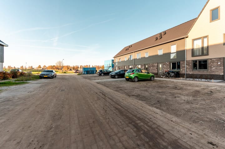 Photo 35 of Herfstorchidee 9