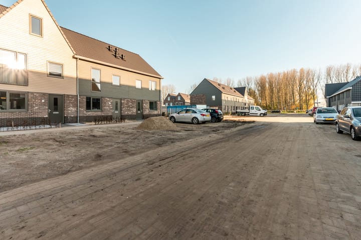 Photo 36 of Herfstorchidee 9