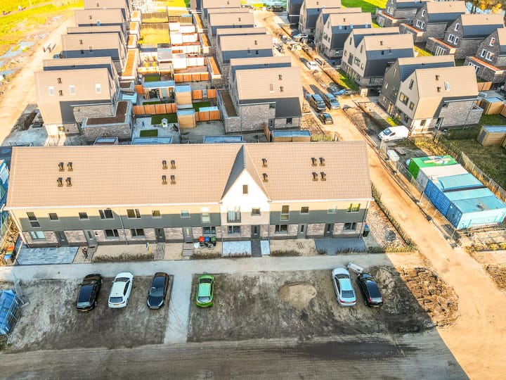 Photo 37 of Herfstorchidee 9