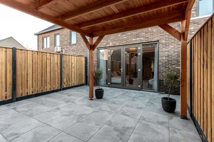 Photo 31 of Herfstorchidee 9