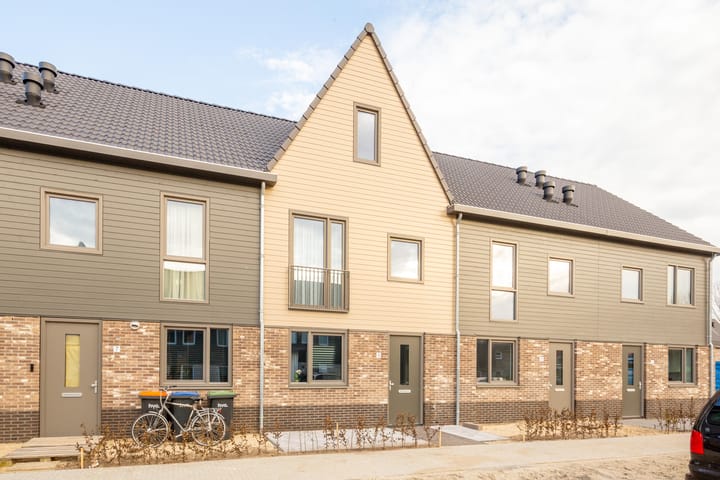 Photo 32 of Herfstorchidee 9