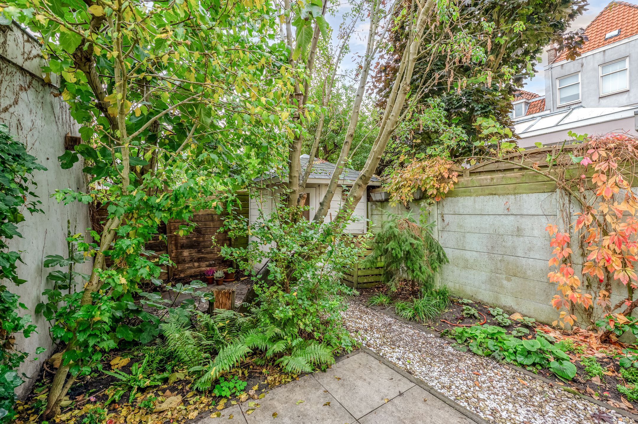 Foto 45 van Van Speijkstraat 192