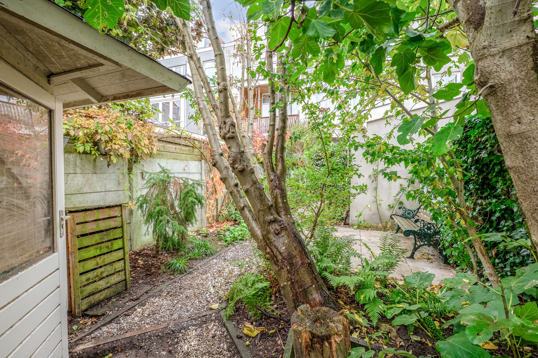 Foto 48 van Van Speijkstraat 192