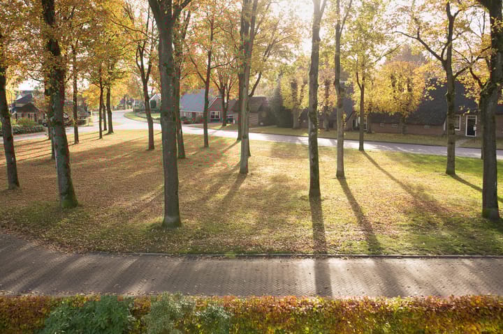 Photo 45 of Grote Brink 31