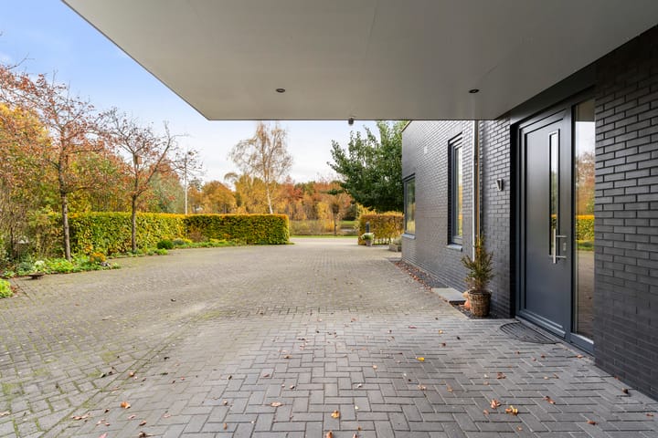 Photo 25 of Zandweegbree 4