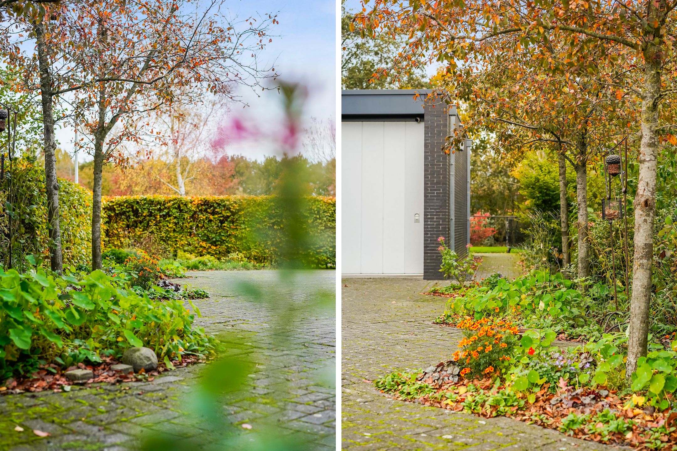 Foto 27 van Zandweegbree 4