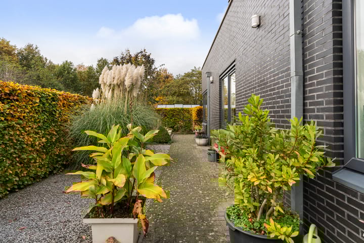 Photo 35 of Zandweegbree 4