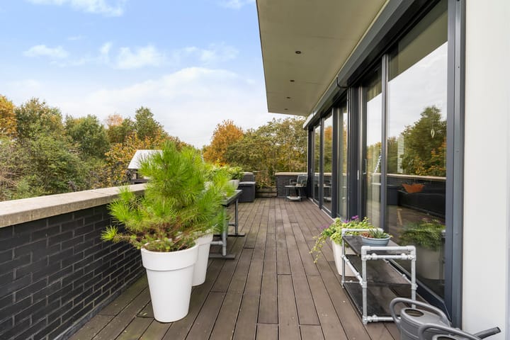 Photo 50 of Zandweegbree 4