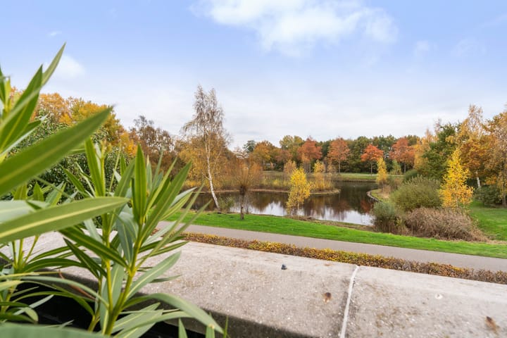 Photo 52 of Zandweegbree 4