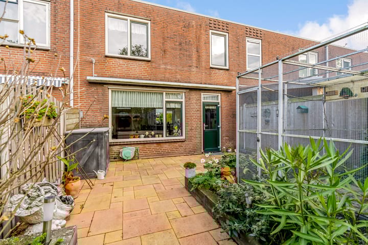 Photo 38 of Leemwierde 197