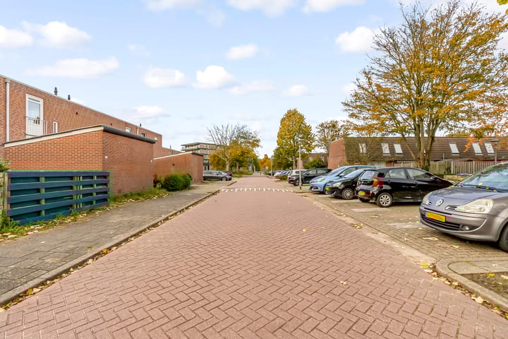 Photo 45 of Leemwierde 197