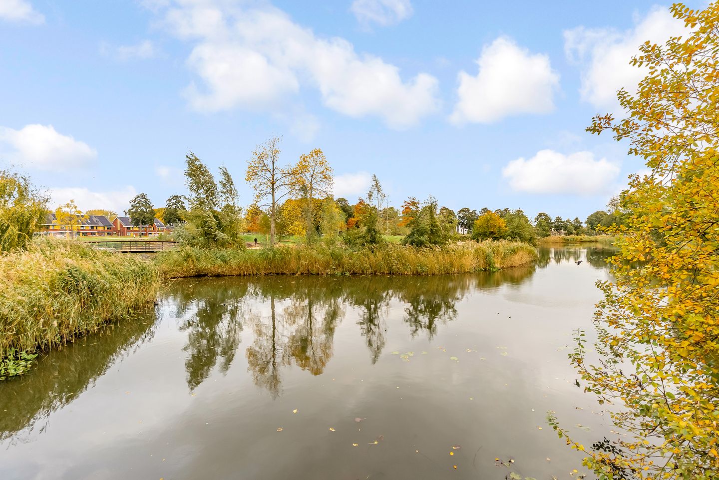 Foto 49 van Leemwierde 197