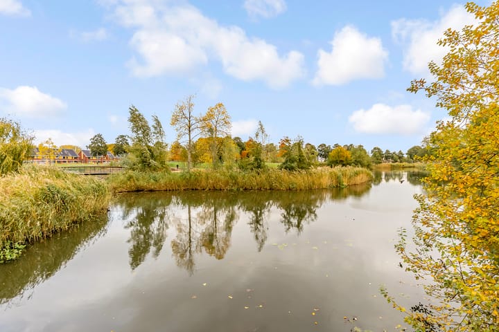 Photo 49 of Leemwierde 197