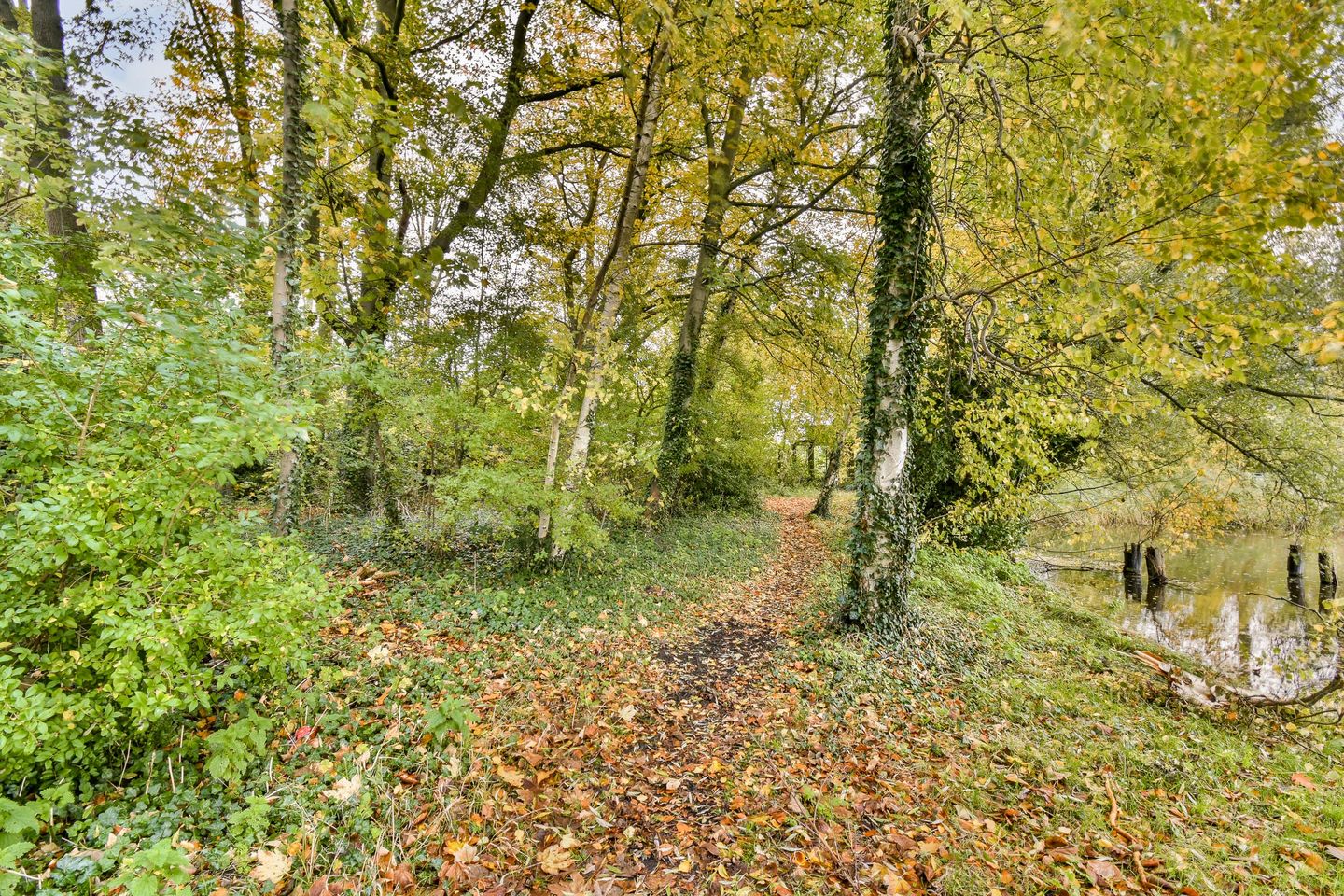 Foto 35 van Merellaan 24