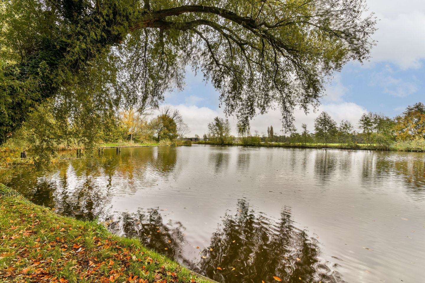 Foto 34 van Merellaan 24