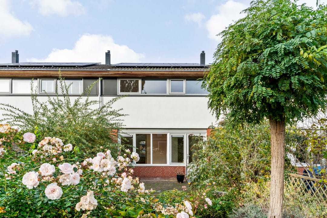 Photo 28 of Vletland 9