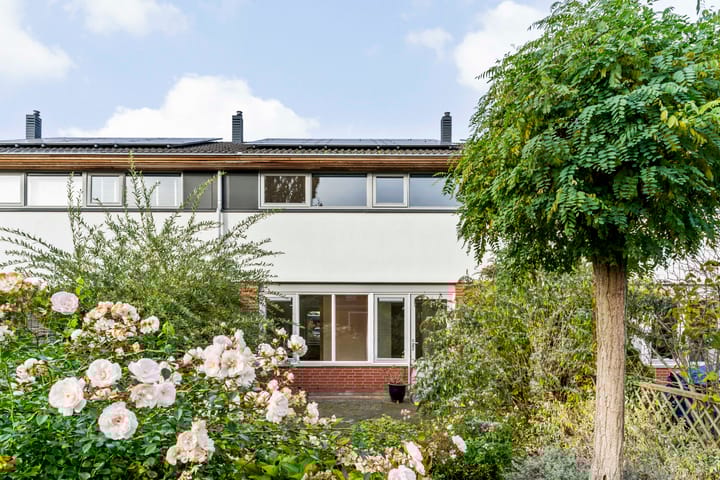 Foto 28 van Vletland 9