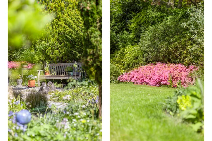 Photo 35 of Duinweg 19