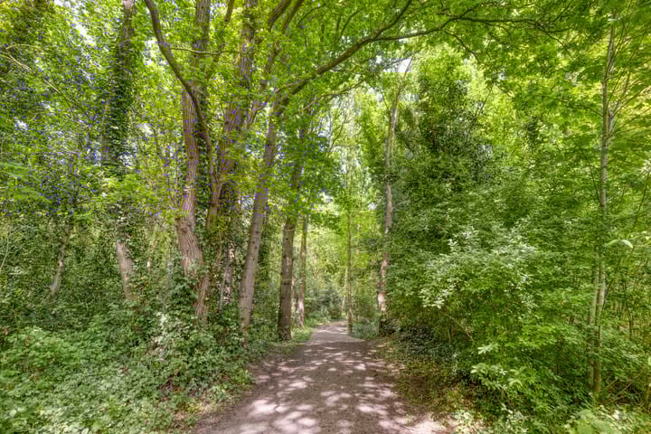 Photo 47 of Duinweg 19