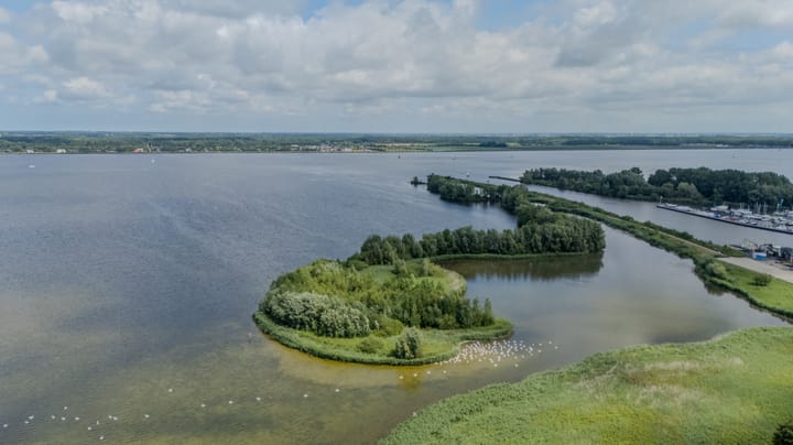 Photo 49 of Duinweg 19