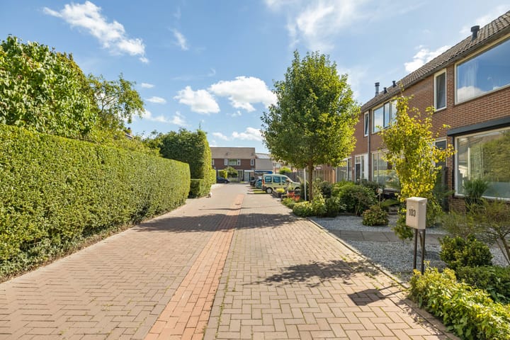 Photo 38 of Wilhelminastraat 103