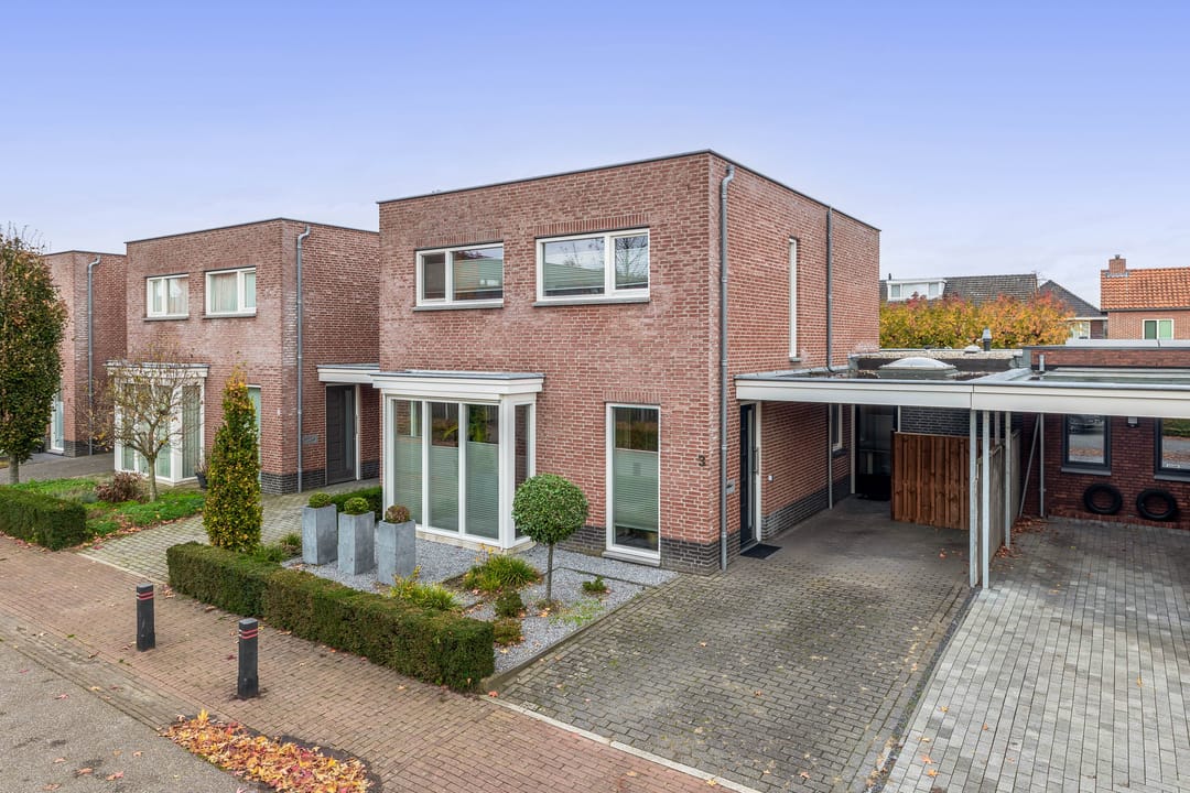 Foto 1 van Goudhaantje 3