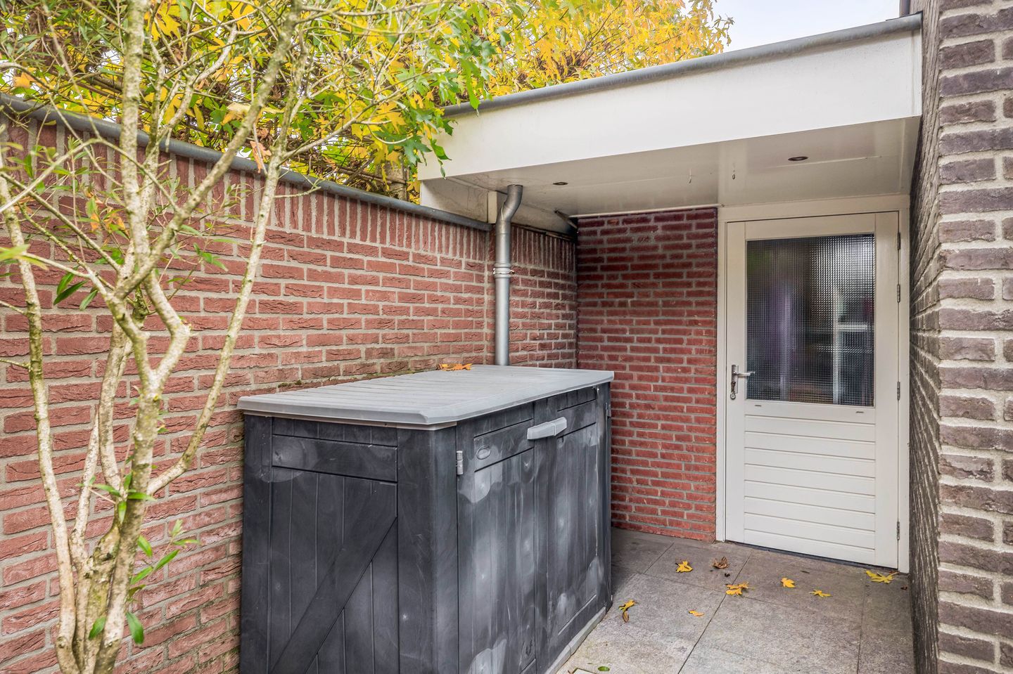 Foto 40 van Goudhaantje 3