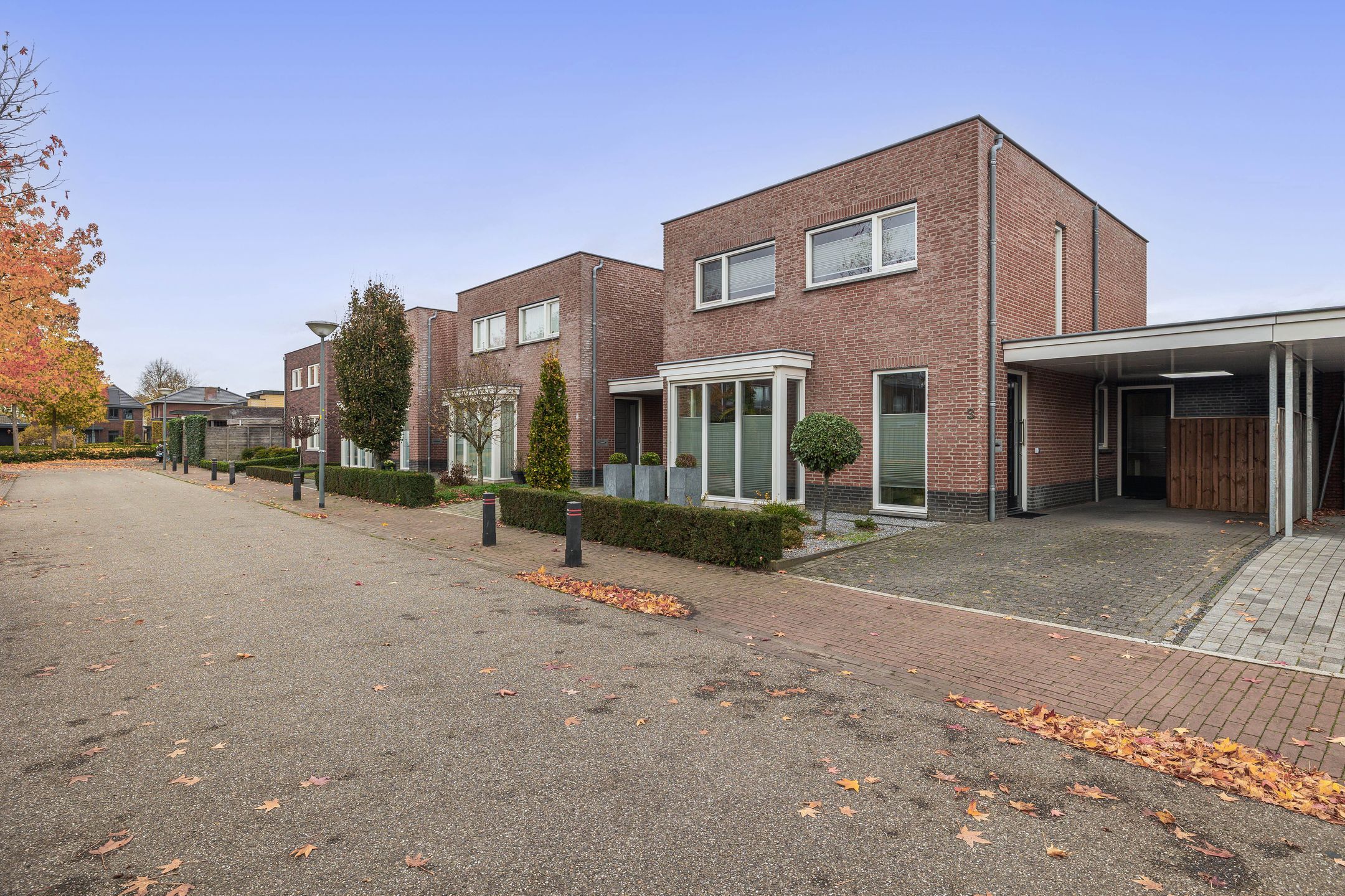 Foto 42 van Goudhaantje 3