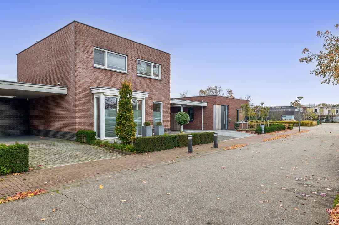Foto 43 van Goudhaantje 3