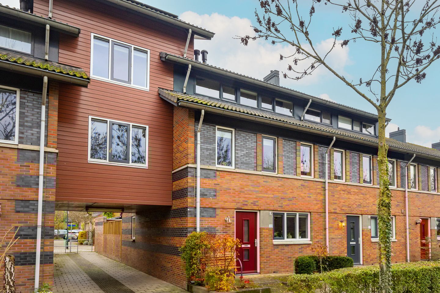 Foto 4 van Beukenhout 20