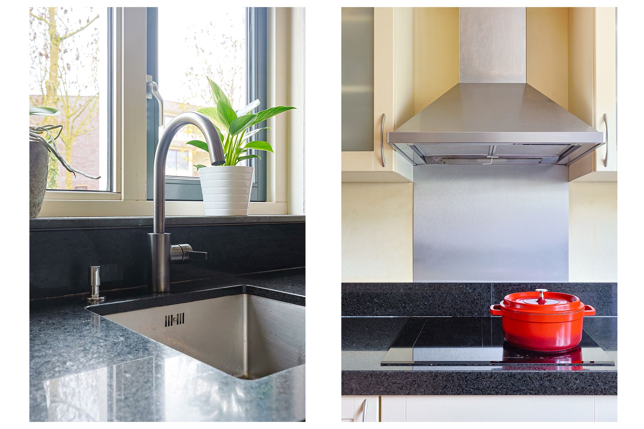 Foto 12 van Beukenhout 20