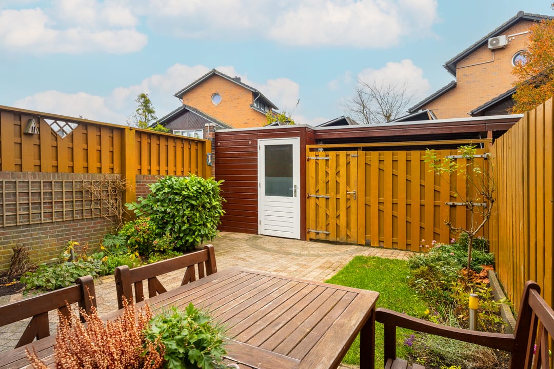 Foto 16 van Beukenhout 20