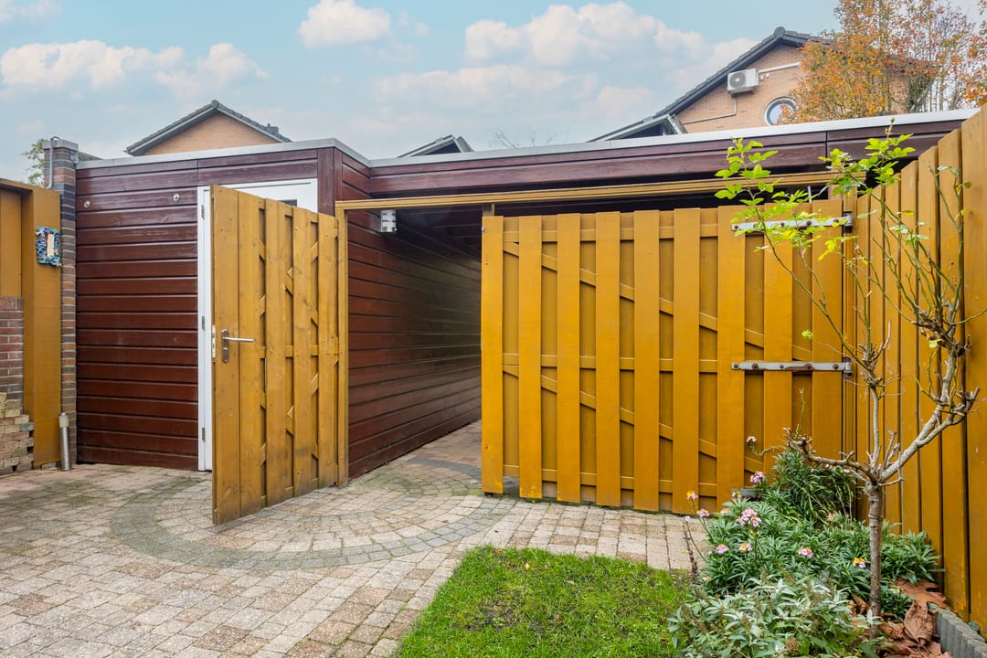 Foto 17 van Beukenhout 20