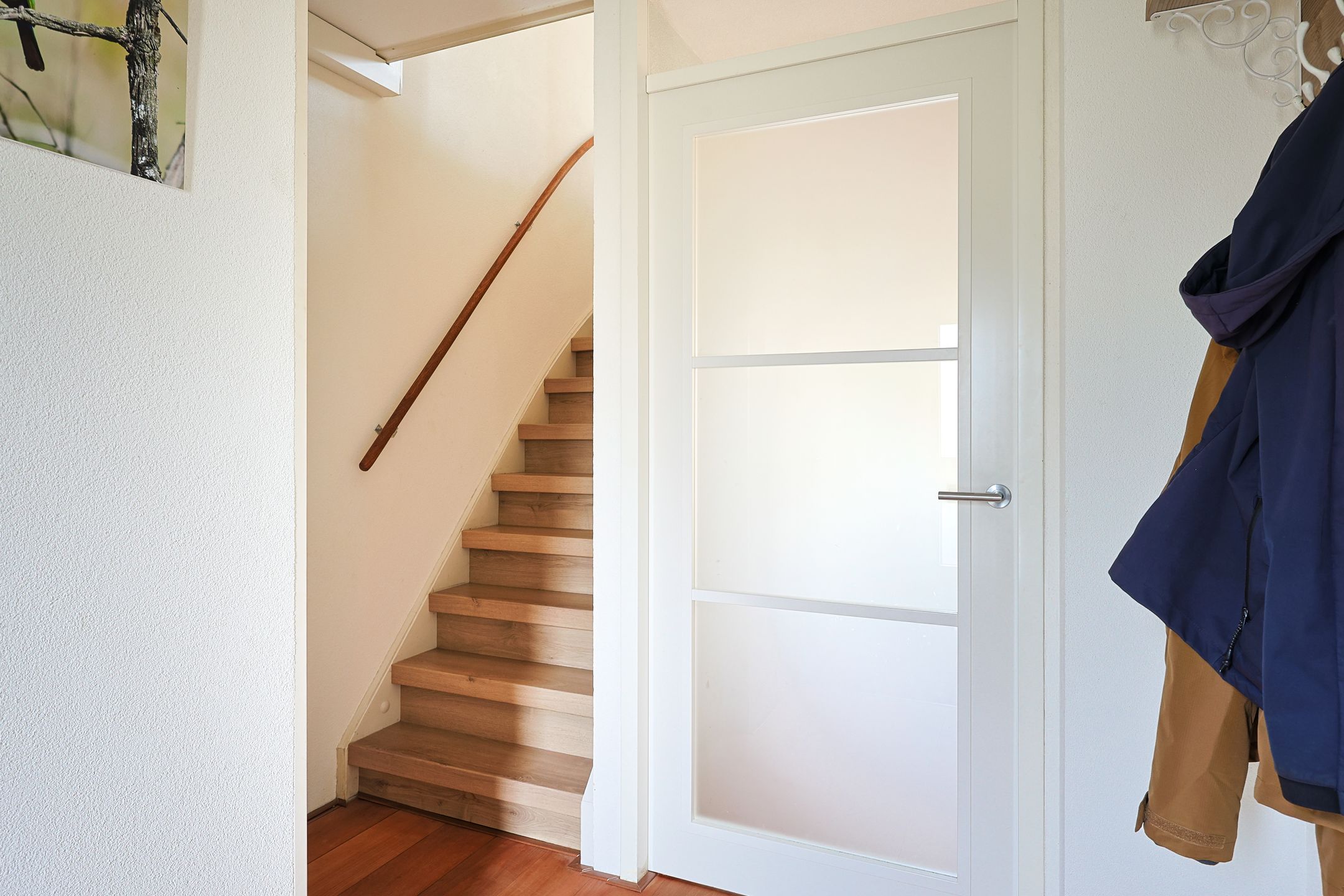 Foto 21 van Beukenhout 20