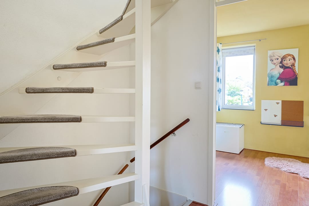 Foto 22 van Beukenhout 20