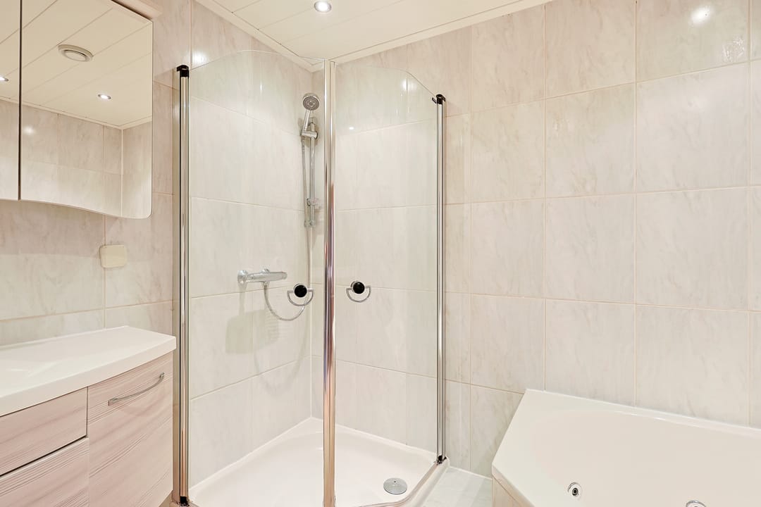 Foto 26 van Beukenhout 20