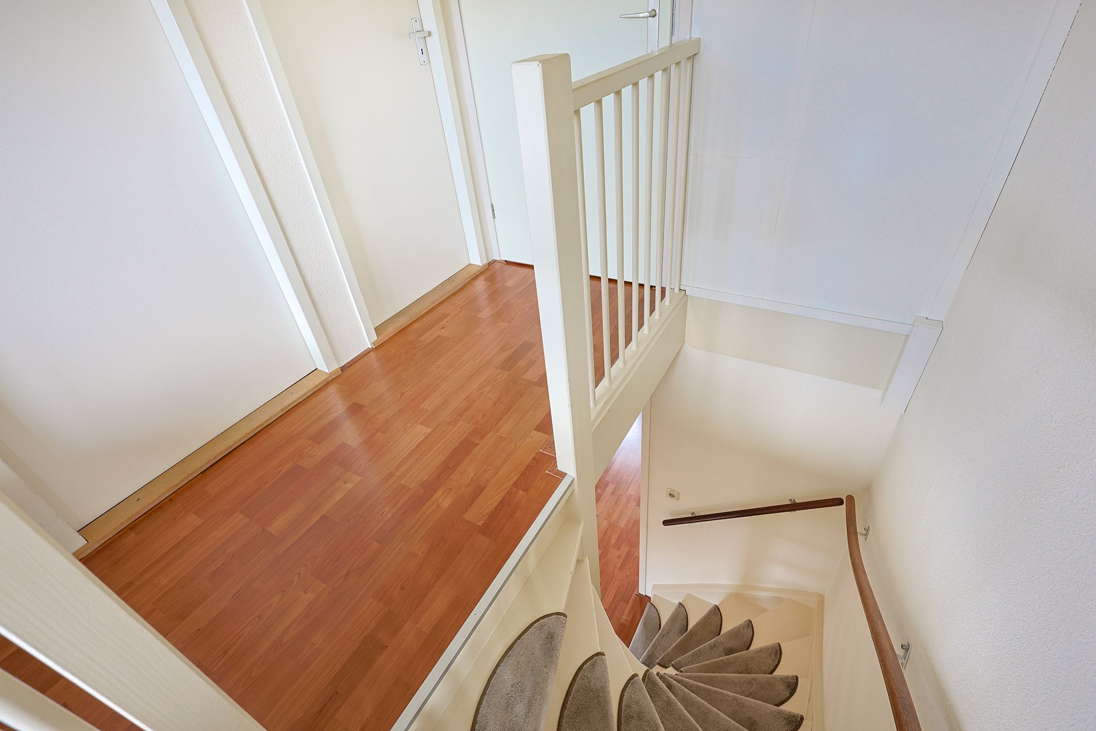 Foto 33 van Beukenhout 20