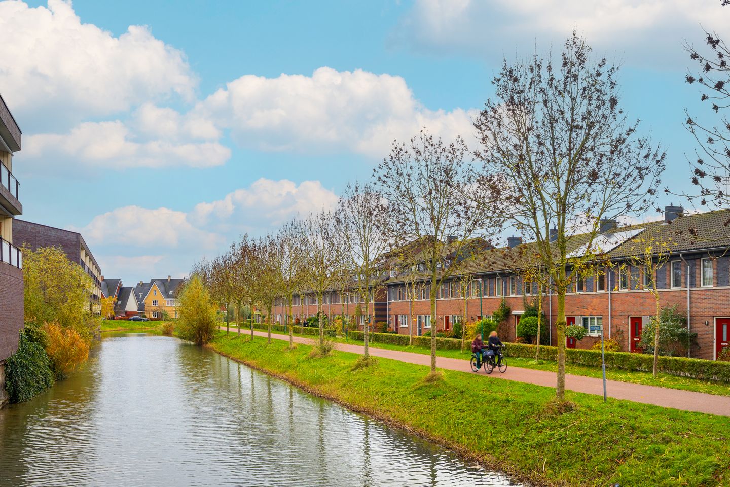 Foto 40 van Beukenhout 20