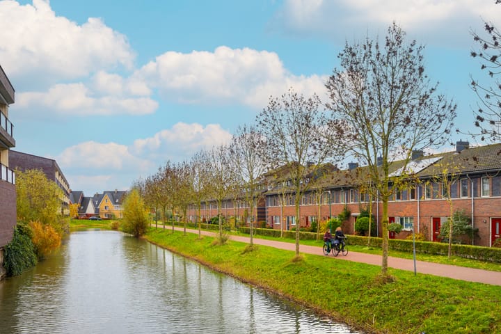 Photo 40 of Beukenhout 20