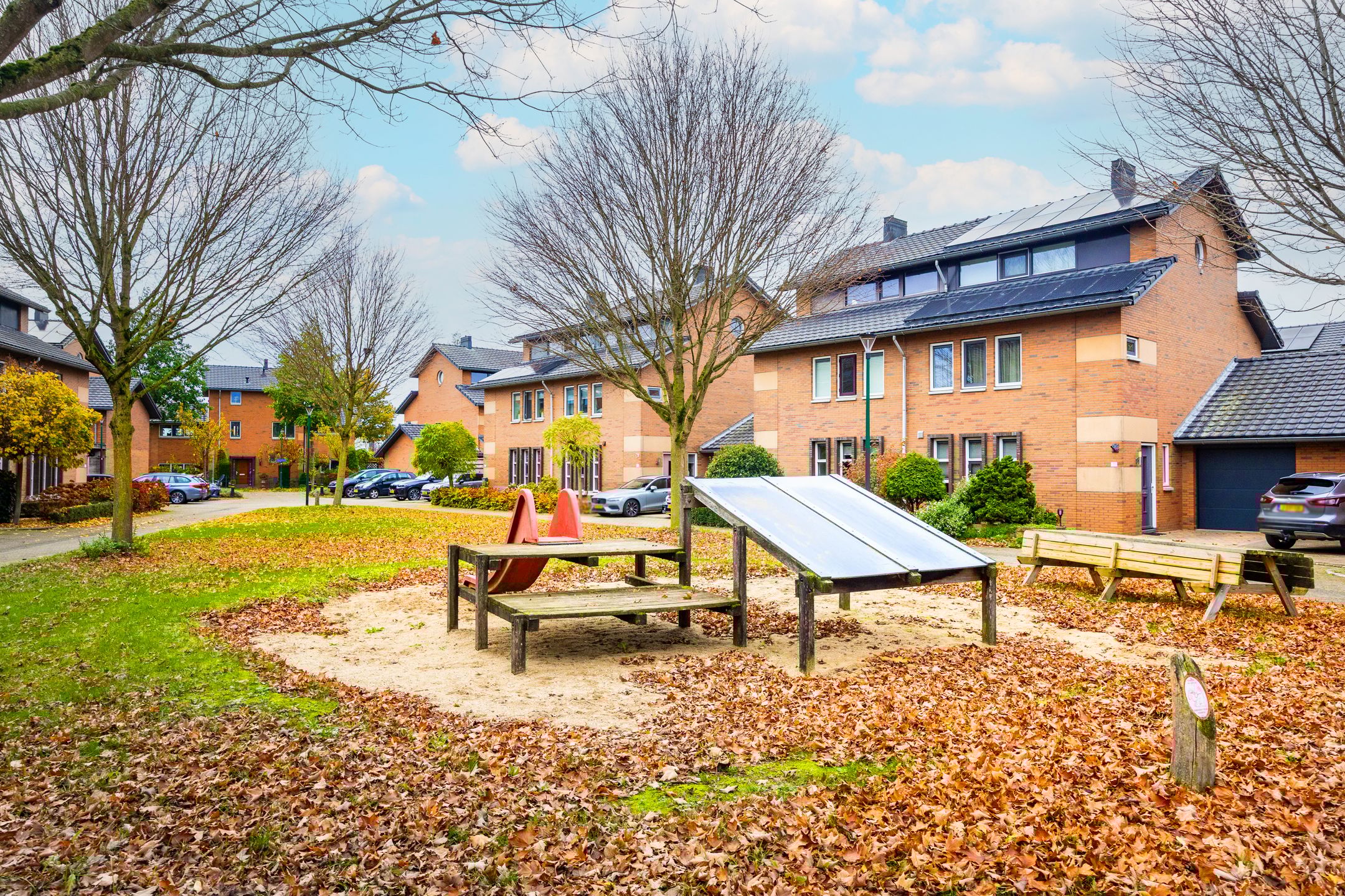 Foto 42 van Beukenhout 20