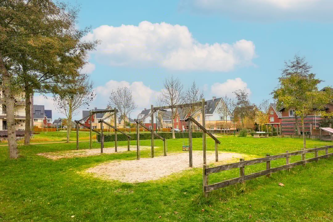 Foto 43 van Beukenhout 20